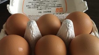 タマゴ egg