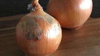 玉ねぎ onion
