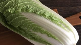 ミニ白菜 mini napa cabbage