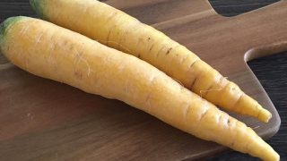 黄色ニンジン yellow carrot