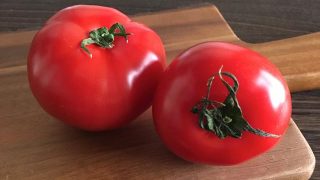 トマト tomato