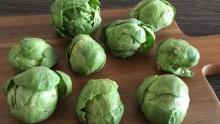 芽キャベツ Brussels sprouts