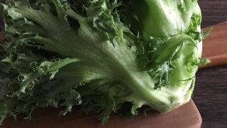 フリルレタス frillice lettuce