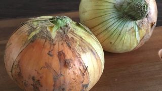新玉ねぎ early onion